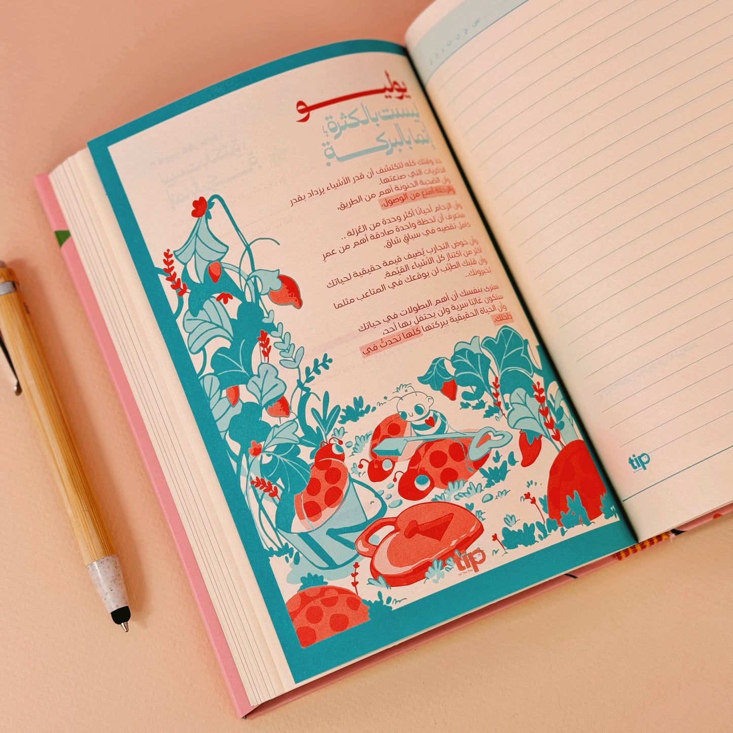 Roses Advent Box (Arabic)