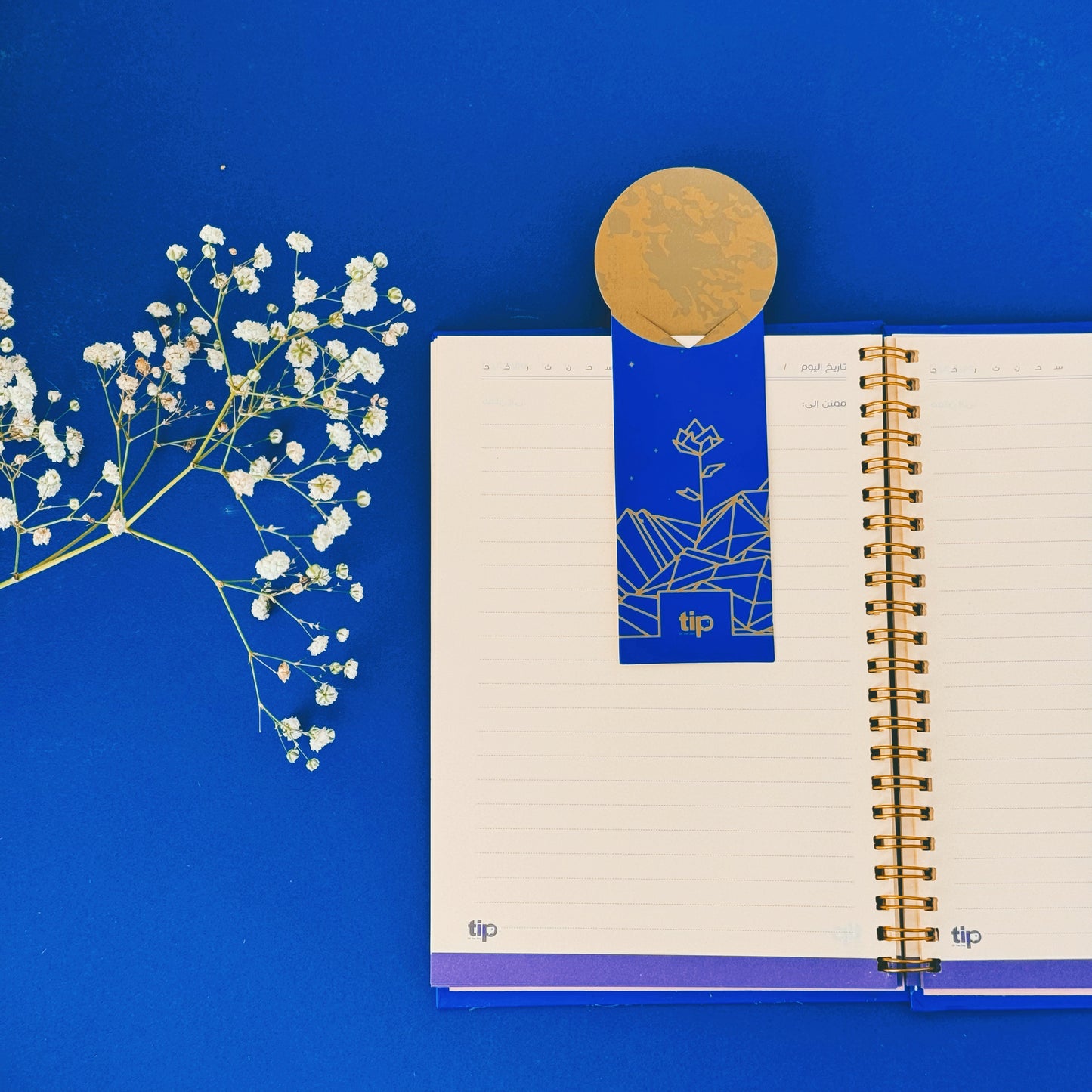 Gratitude Kit - Blue