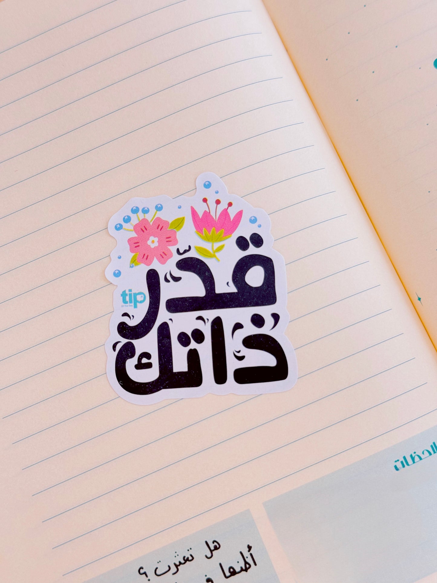 Zahra Organizer Box