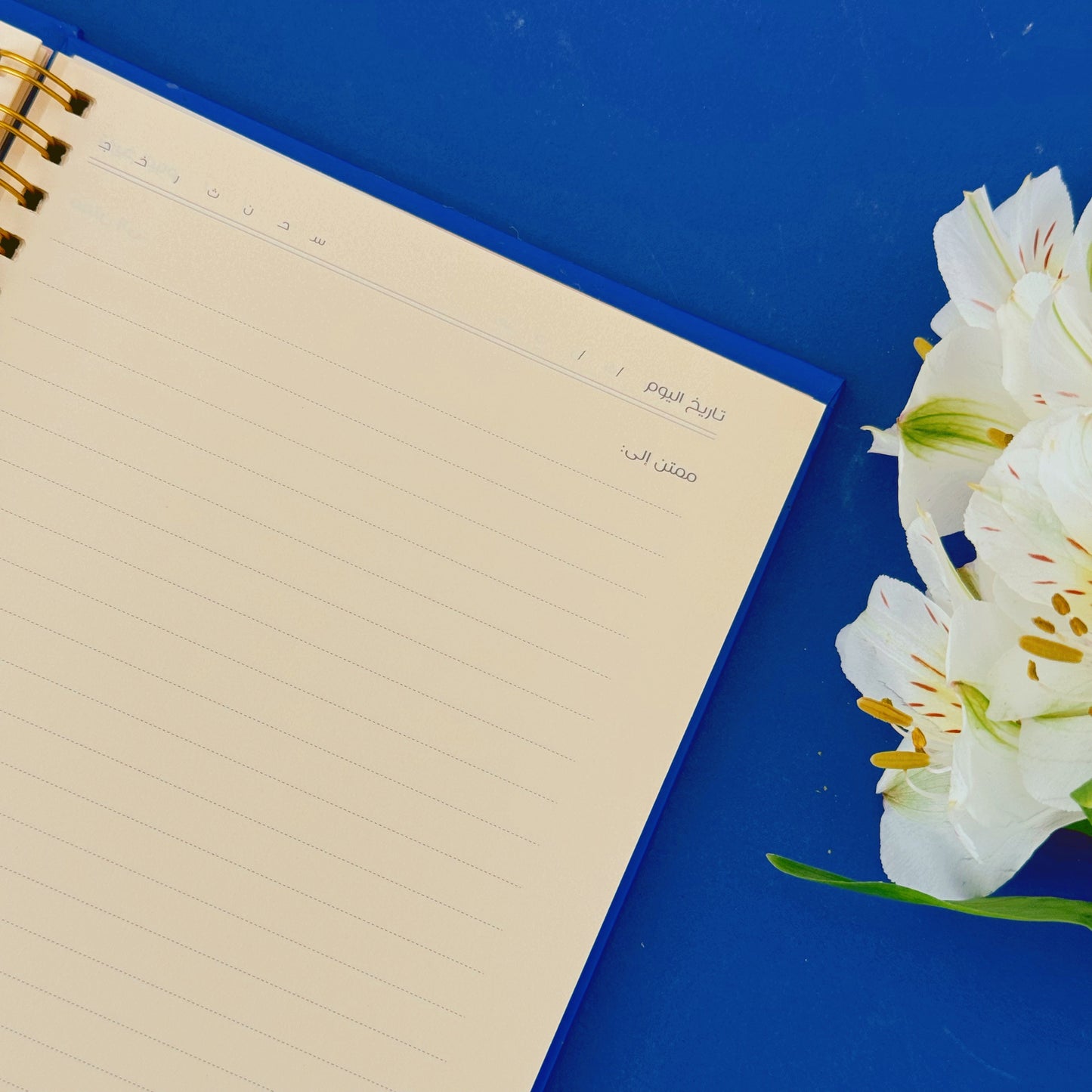 Gratitude Kit - Blue