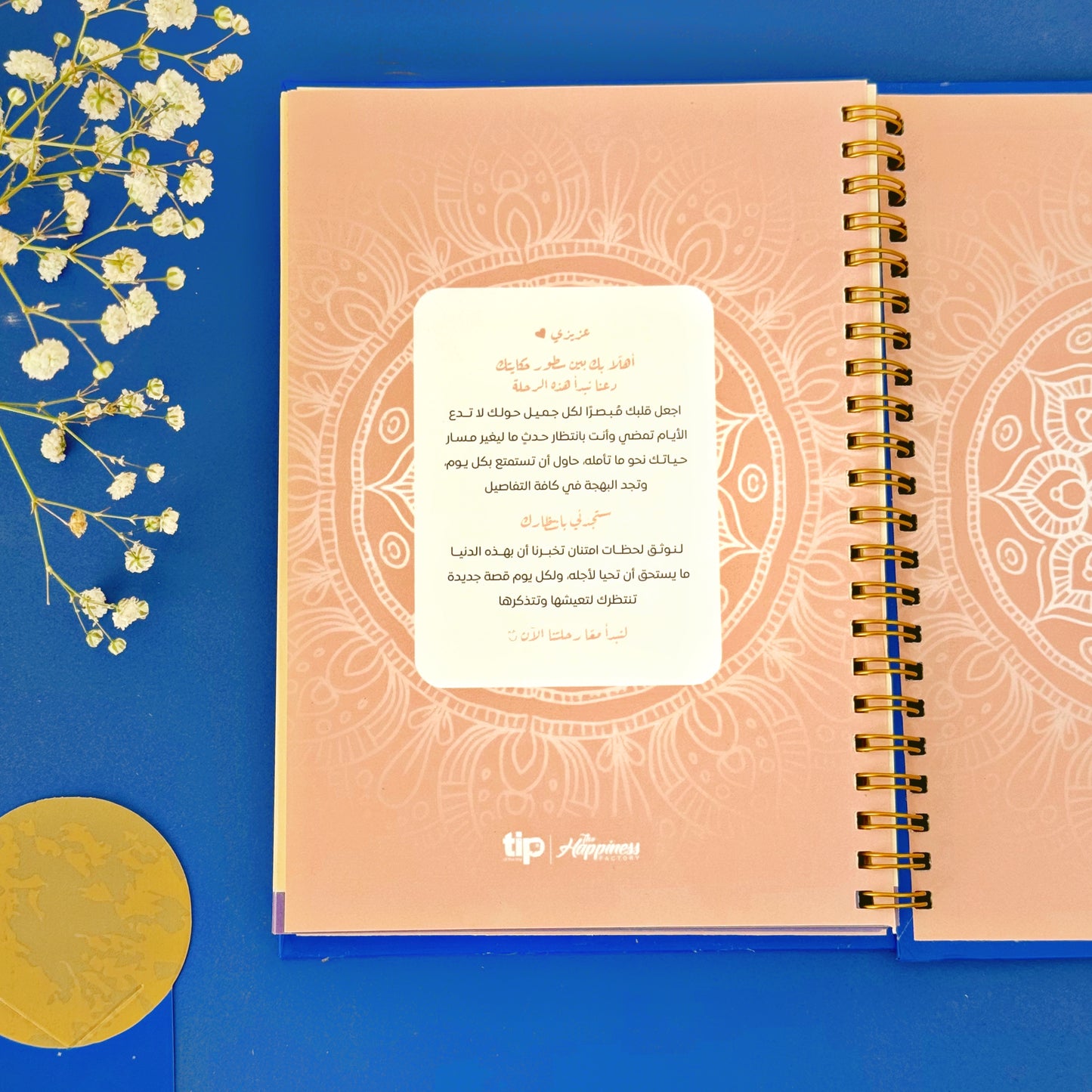 Gratitude Kit - Blue