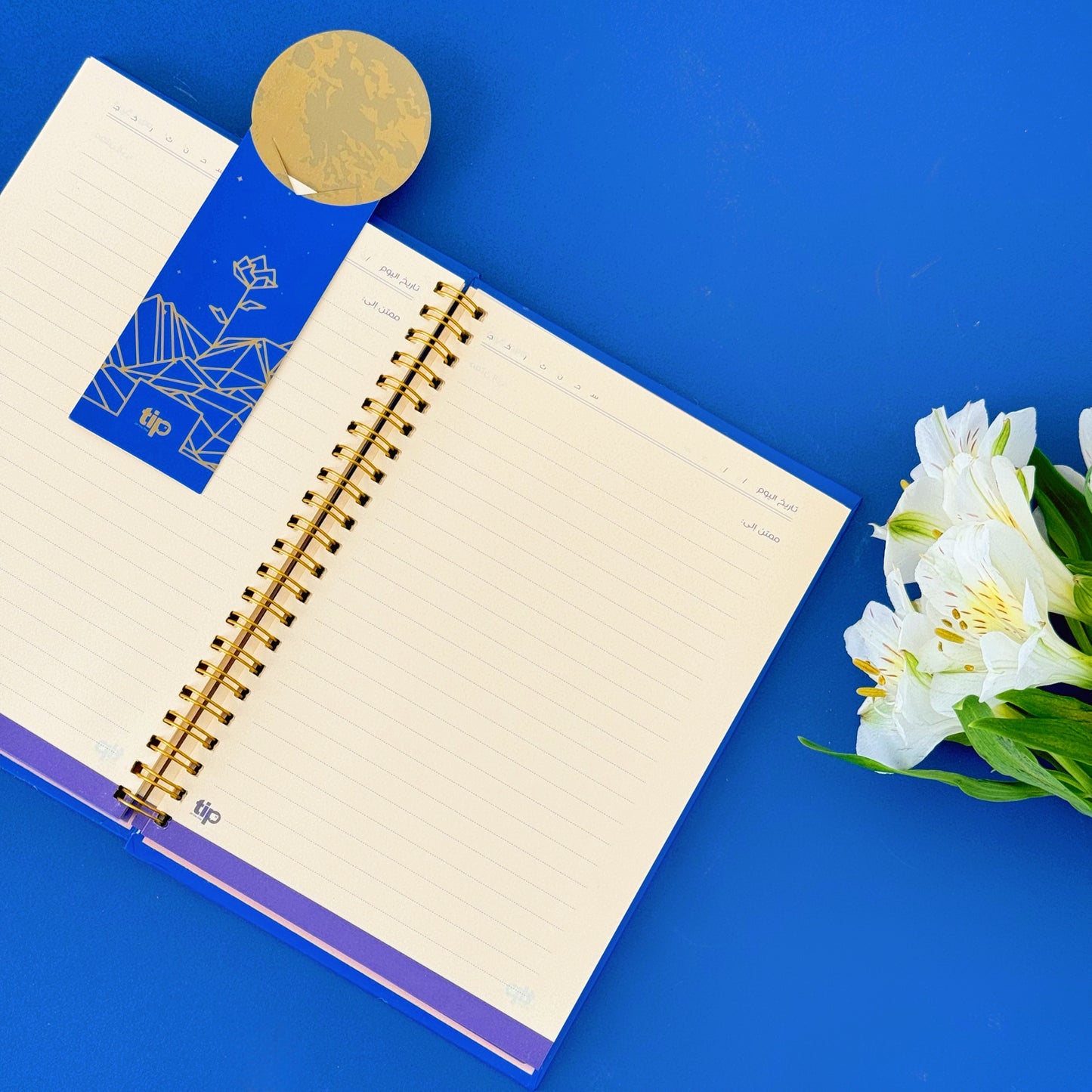 Gratitude Kit - Blue