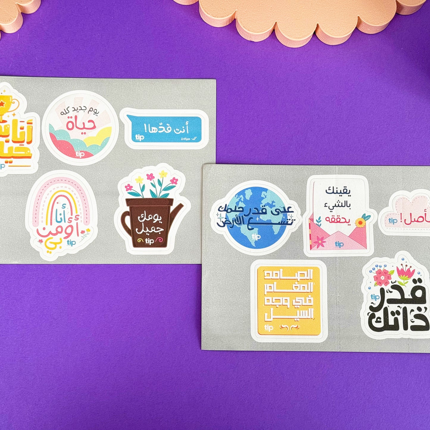 Saey Organizer Box