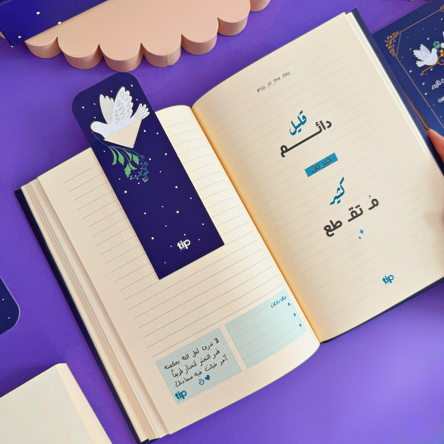 Saey Organizer Box