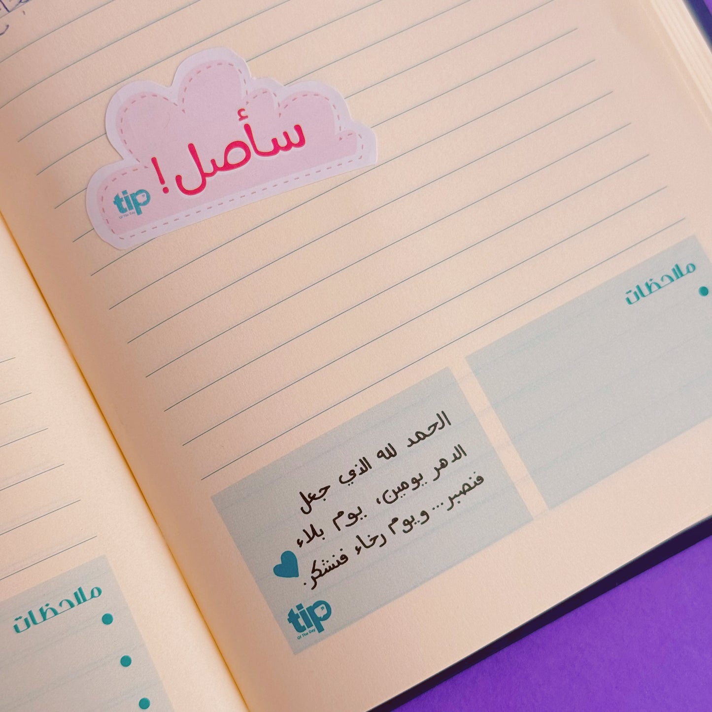 Saey Organizer Box 
