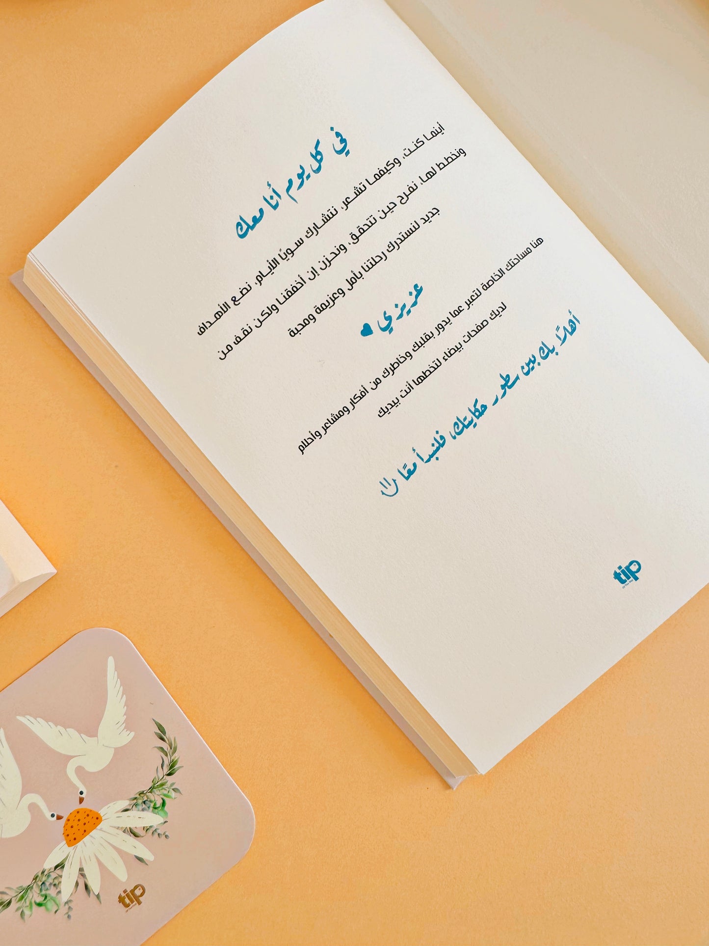 Zahra Organizer Box 
