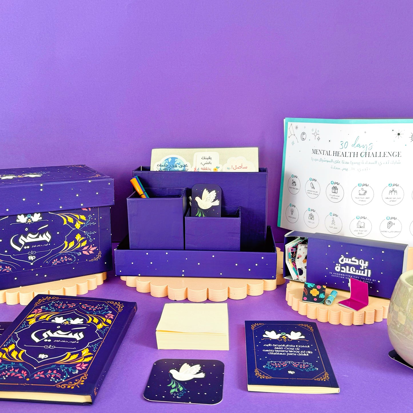Saey Organizer Box 

